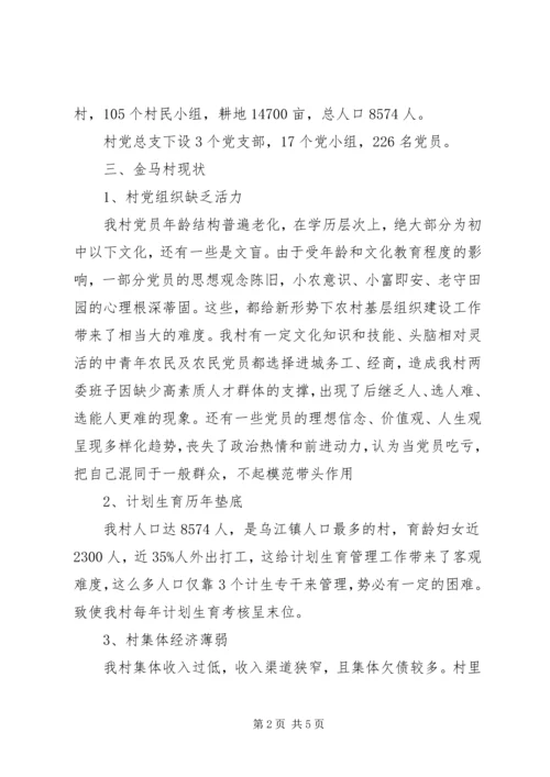 村第一书记任职规划计划 (2).docx