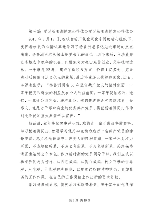 学习杨善洲同志心得体会.docx