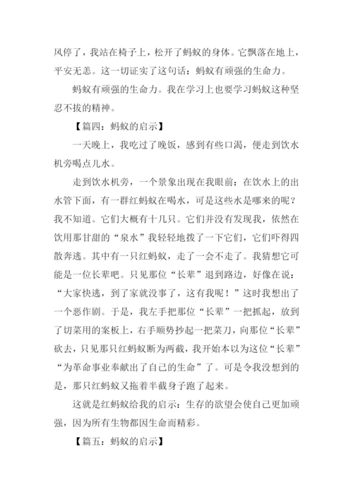 蚂蚁的启示作文300字.docx