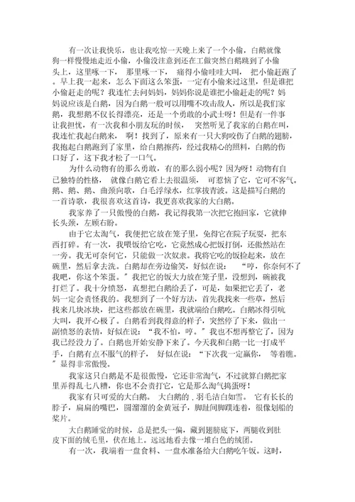 与白鹅有关的作文8篇范文精选