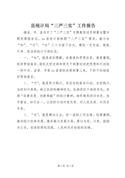 县统计局“三严三实”工作报告.docx