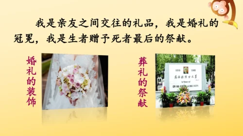 4 花之歌    课件