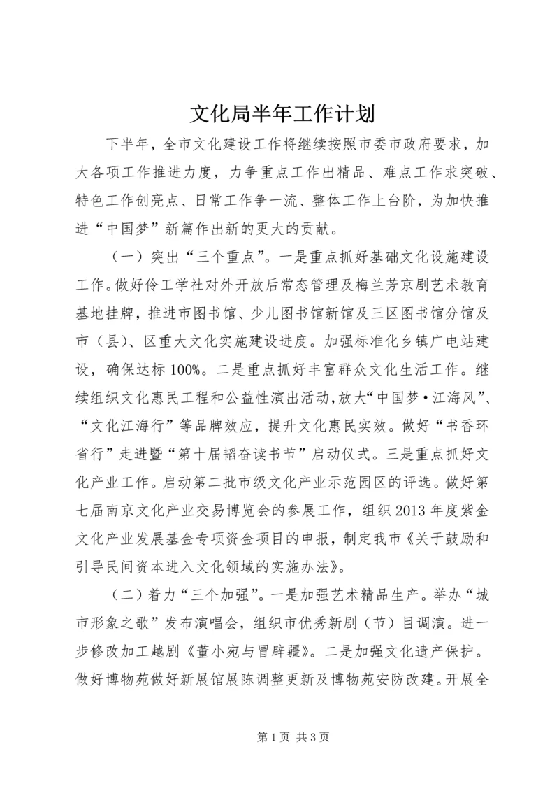 文化局半年工作计划.docx