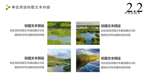 清新简约世界湿地森林日绿色环保PPT模板