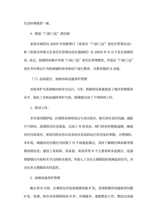 城管局年度工作报告word模板