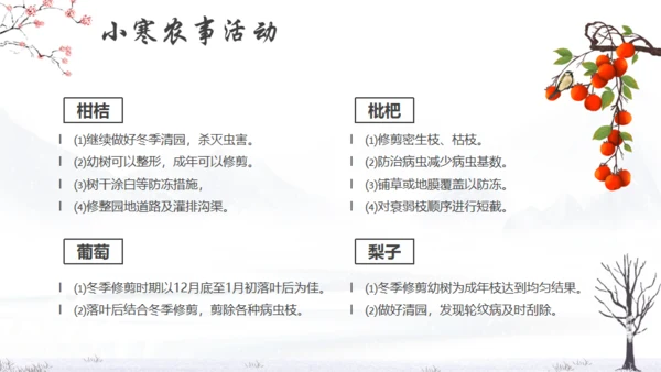 小寒冬天节气通用PPT模版