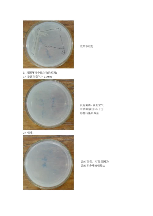 环境中微生物的检测和分离纯化.docx