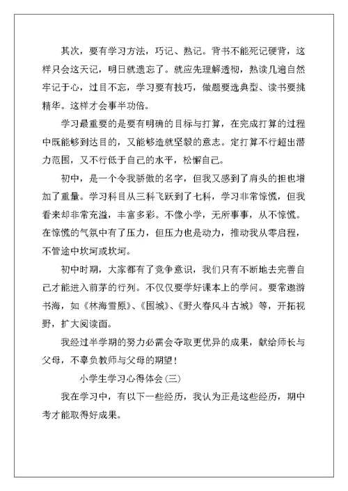 小学生学习心得体会范文五篇