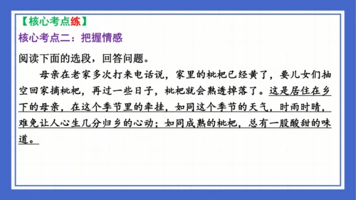 2023-2024学年统编版语文七年级下册 第六单元复习 课件(共94张PPT)