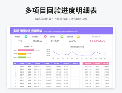 多项目回款进度明细表