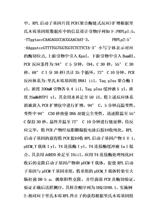 源于里氏木霉的强启动子及其表达载体和应用的制作方法