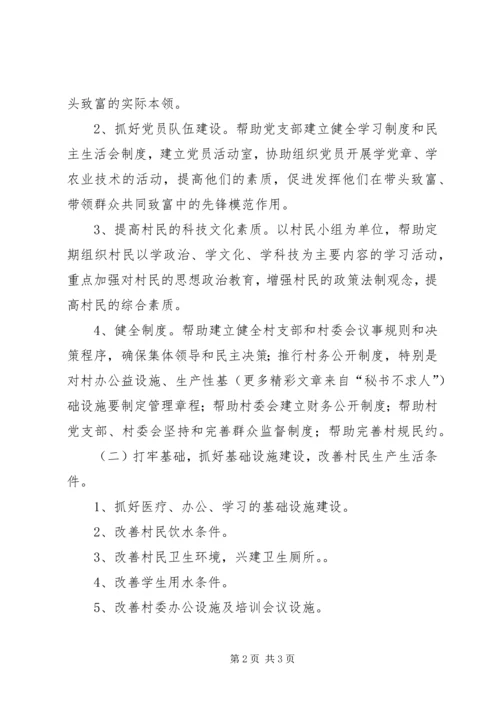 村党组织建设三年规划.docx