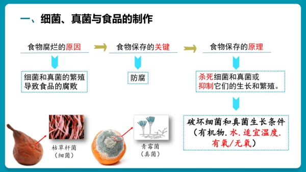 5.4.5人类对细菌和真菌的利用（第2课时）-人教版生物八年级上册(共25张PPT)