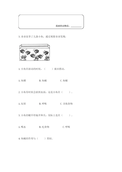 教科版小学科学一年级下册期末测试卷附完整答案【网校专用】.docx