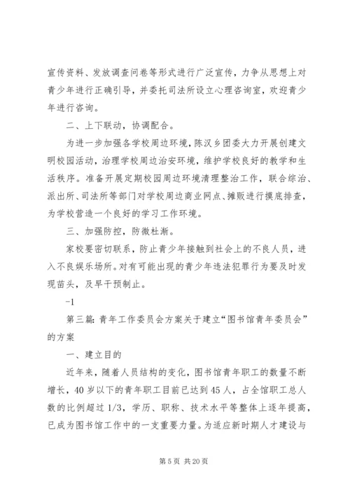 青年工作委员会方案.docx