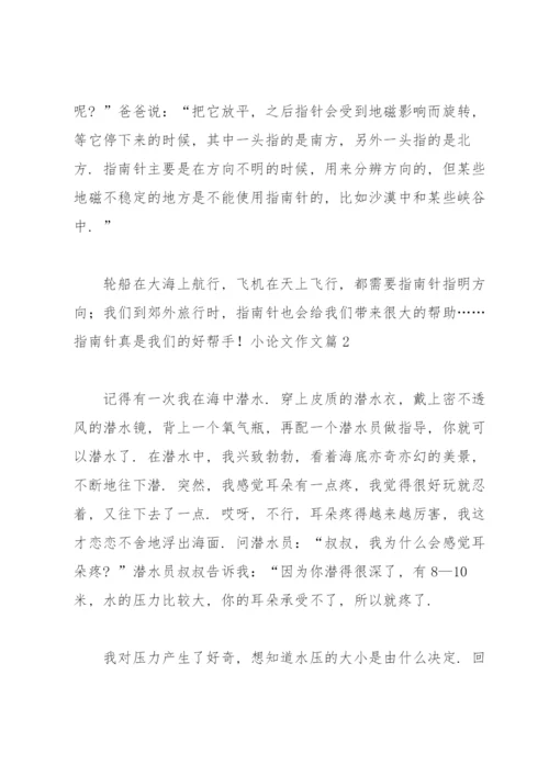 实用的小论文作文锦集九篇.docx