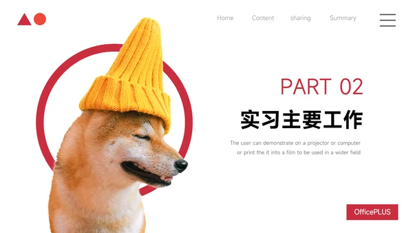 红色极简高级宠物业实习报告PPT模板