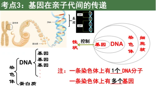 八下 第七单元复习课件(共58张PPT)