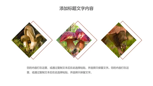 蘑菇菌类养生文化宣传动态PPT模板