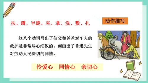 第27课《我的伯父鲁迅先生》（课件）