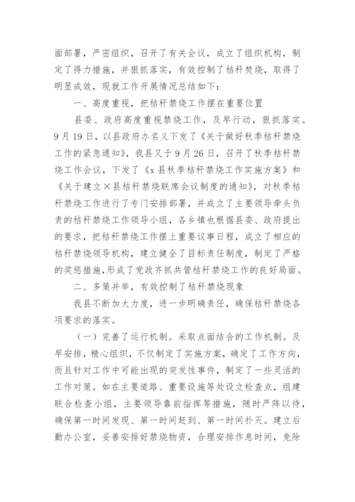 乡镇秸秆禁烧工作总结.docx