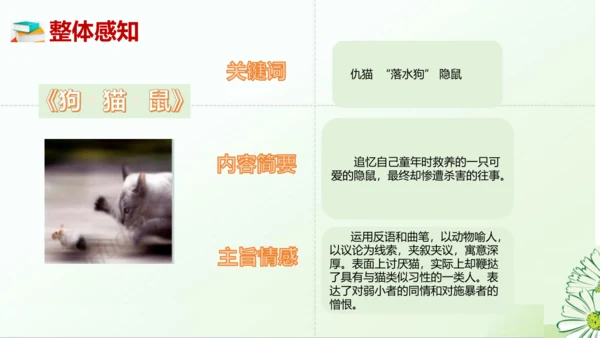 七年级语文上册第三单元整本书阅读《朝花夕拾》课件