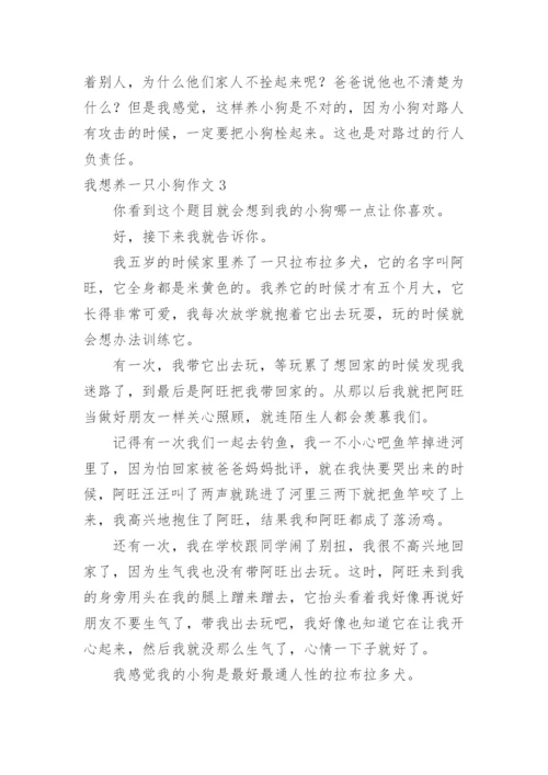 我想养一只小狗作文.docx