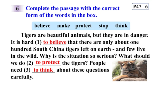 Module 6 Unit 3 Language in use.课件【外研（2024）版八年级上册】