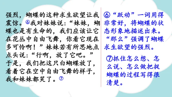 -统编版2024-2025学年四年级语文上册同步精品习作：生活万花筒 课件