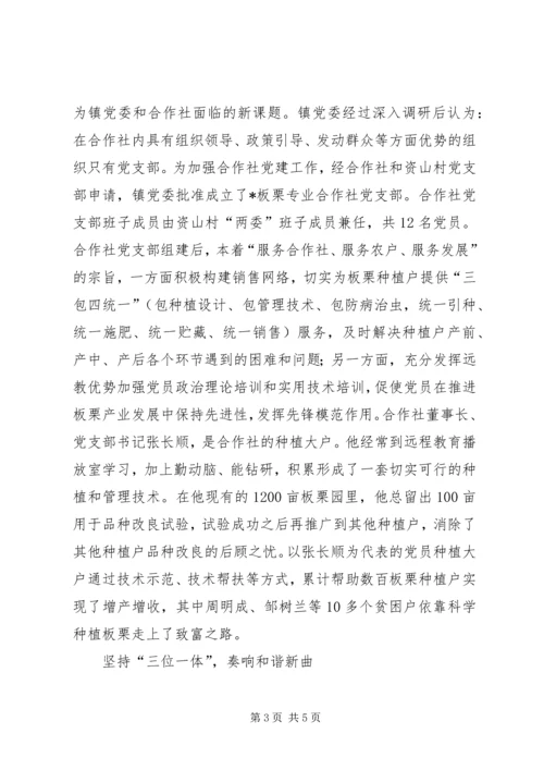 党支部远程教育新模式.docx