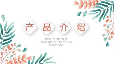 质感小清新公司产品介绍宣传通用PPT动态模板