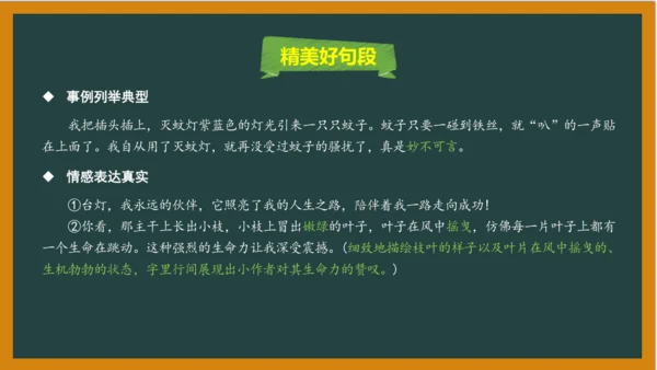 统编版语文五年级上册 第一单元习作： 我的心爱之物课件