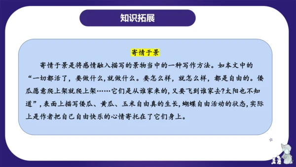 统编版五年级语文下学期期中核心考点集训第一单元（复习课件）