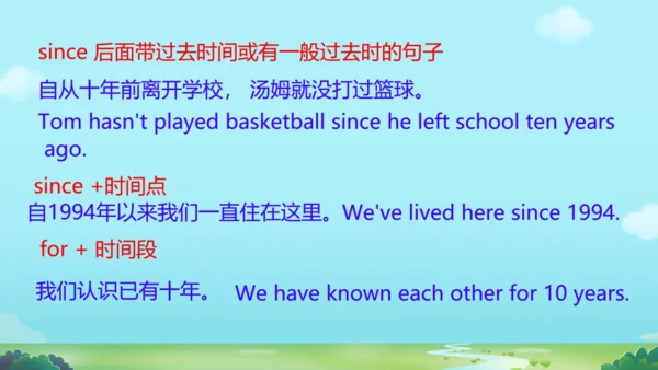 外研八下Module 2  Experiences  模块与综合测试 复习课件