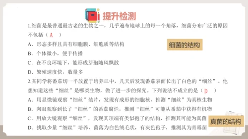 人教版生物八年级上册2.3 细菌、真菌和病毒 本章复习课件(共23张PPT)+视频素材