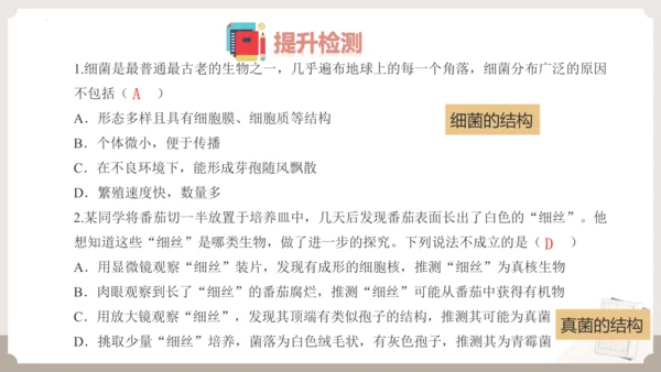 人教版生物八年级上册2.3 细菌、真菌和病毒 本章复习课件(共23张PPT)+视频素材
