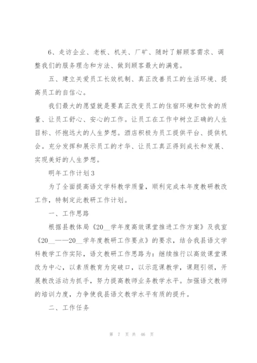 明年工作计划范本10篇.docx