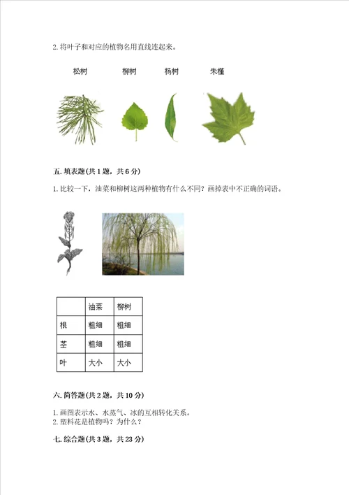 教科版科学一年级上册第一单元《植物》测试卷含答案（综合题）