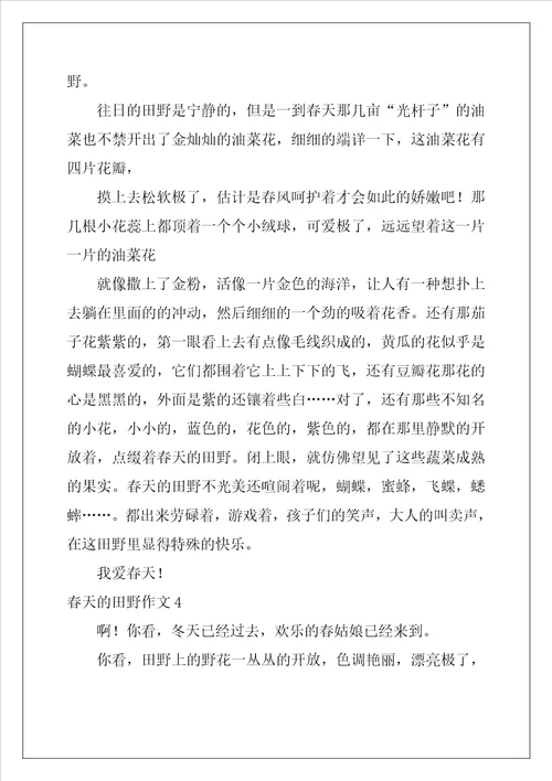 春天的田野作文12篇