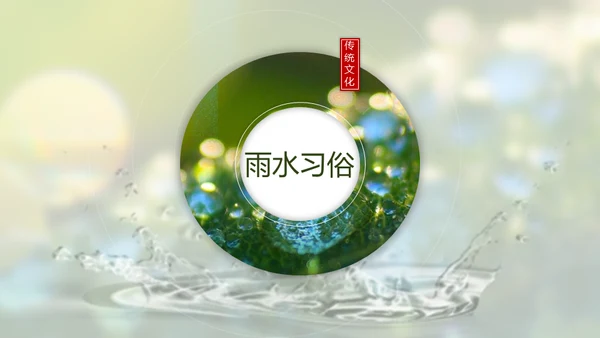春天雨水绿叶晨露二十四节气通用PPT课件