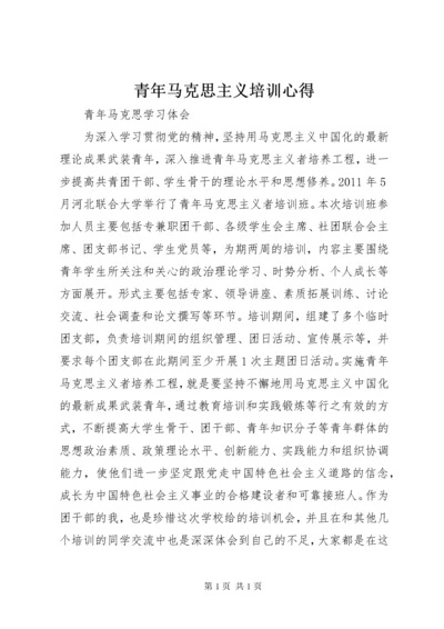 青年马克思主义培训心得 (4).docx