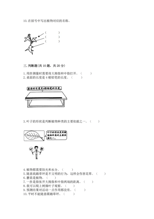 教科版科学一年级上册期末测试卷（综合卷）.docx