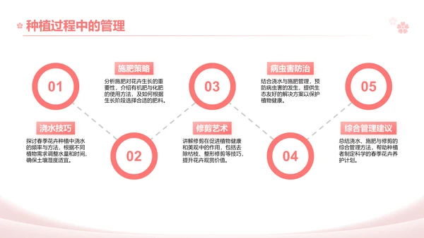 粉色实景风春季花卉主题汇报PPT模板