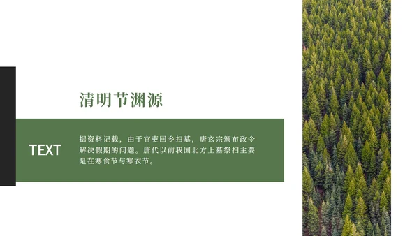 绿色大气清新绿植清明节主题PPT模板