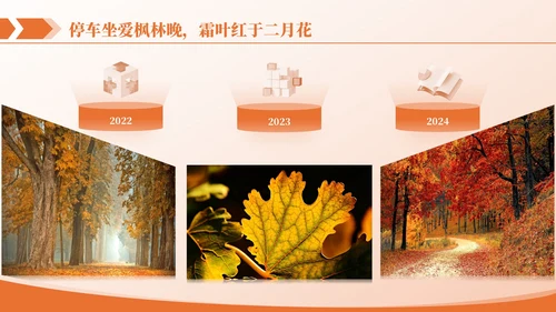 橙色商务图文排版PPT版式合集