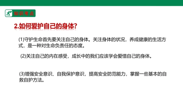 新课标七上第四单元生命的思考复习课件2023