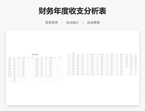 财务年度收支分析表