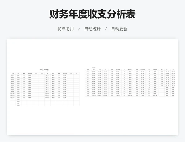 财务年度收支分析表