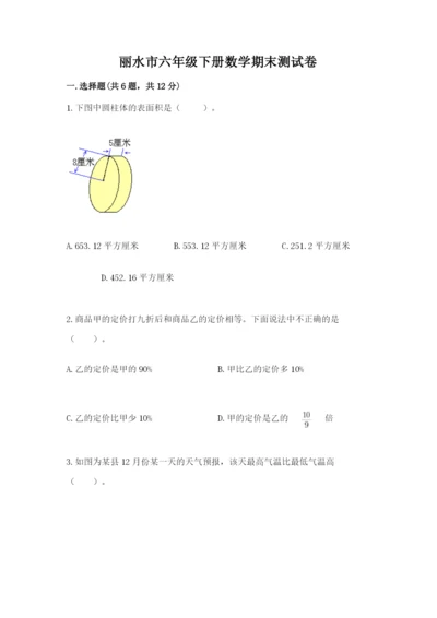 丽水市六年级下册数学期末测试卷（完整版）.docx