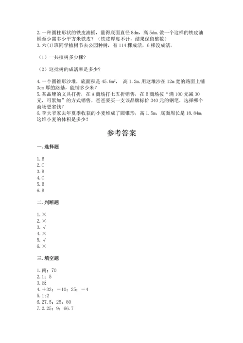 北师大版六年级下册数学期末测试卷【达标题】.docx